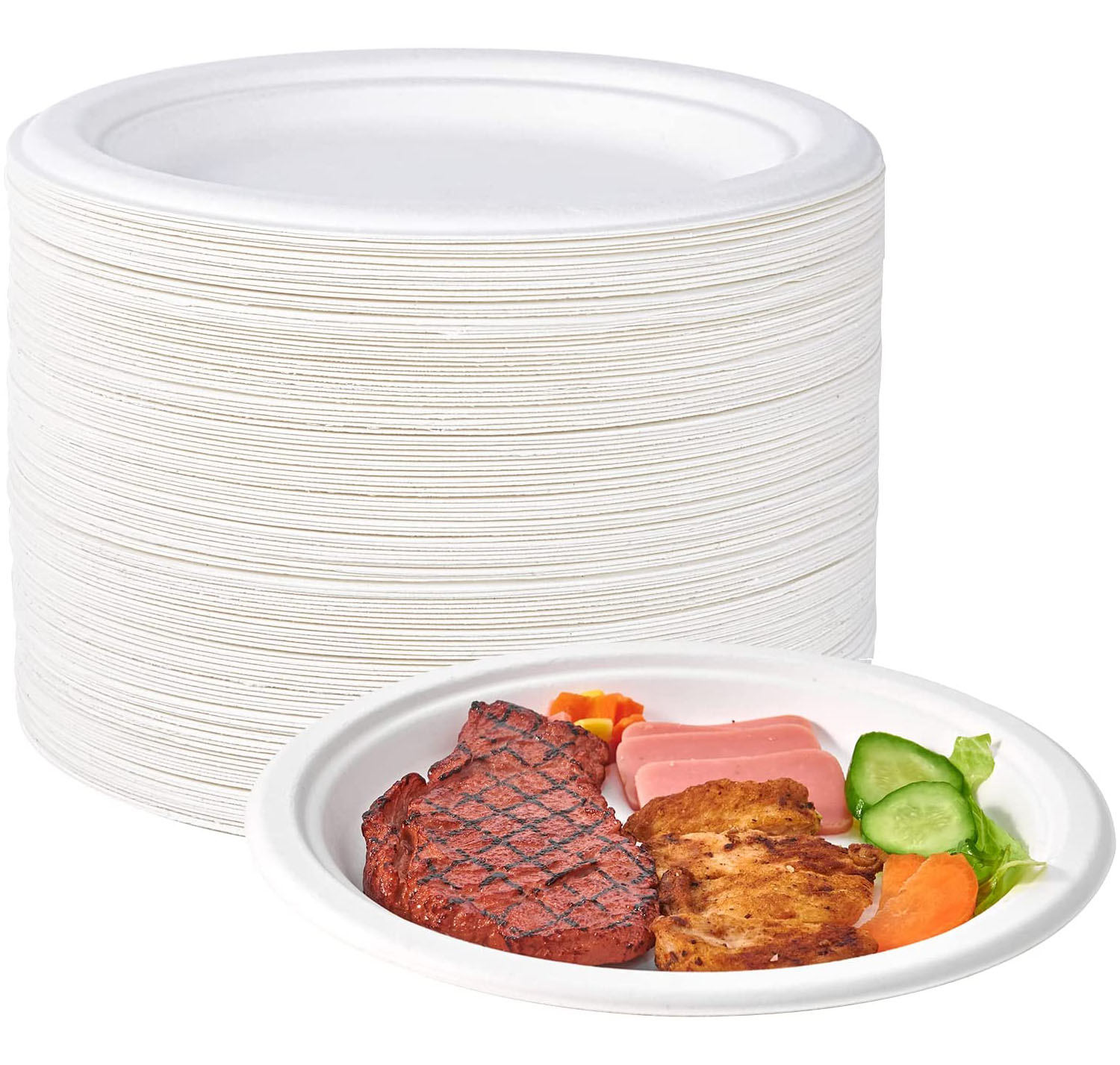 Paper Plates 9 inch Disposable Sugarcane Bagasse Plates